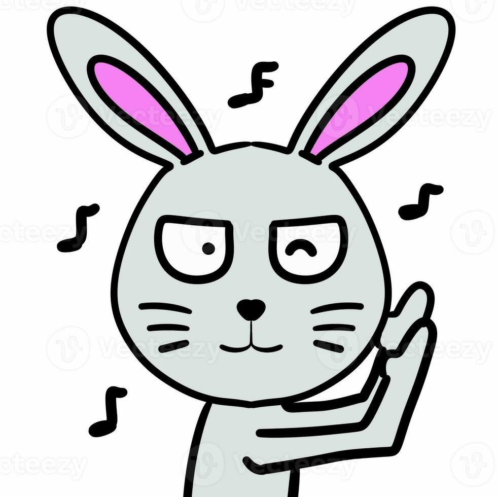 cute rabbit with a white background. illustration photo