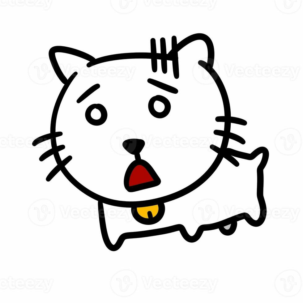 cute cat cartoon on a white background photo