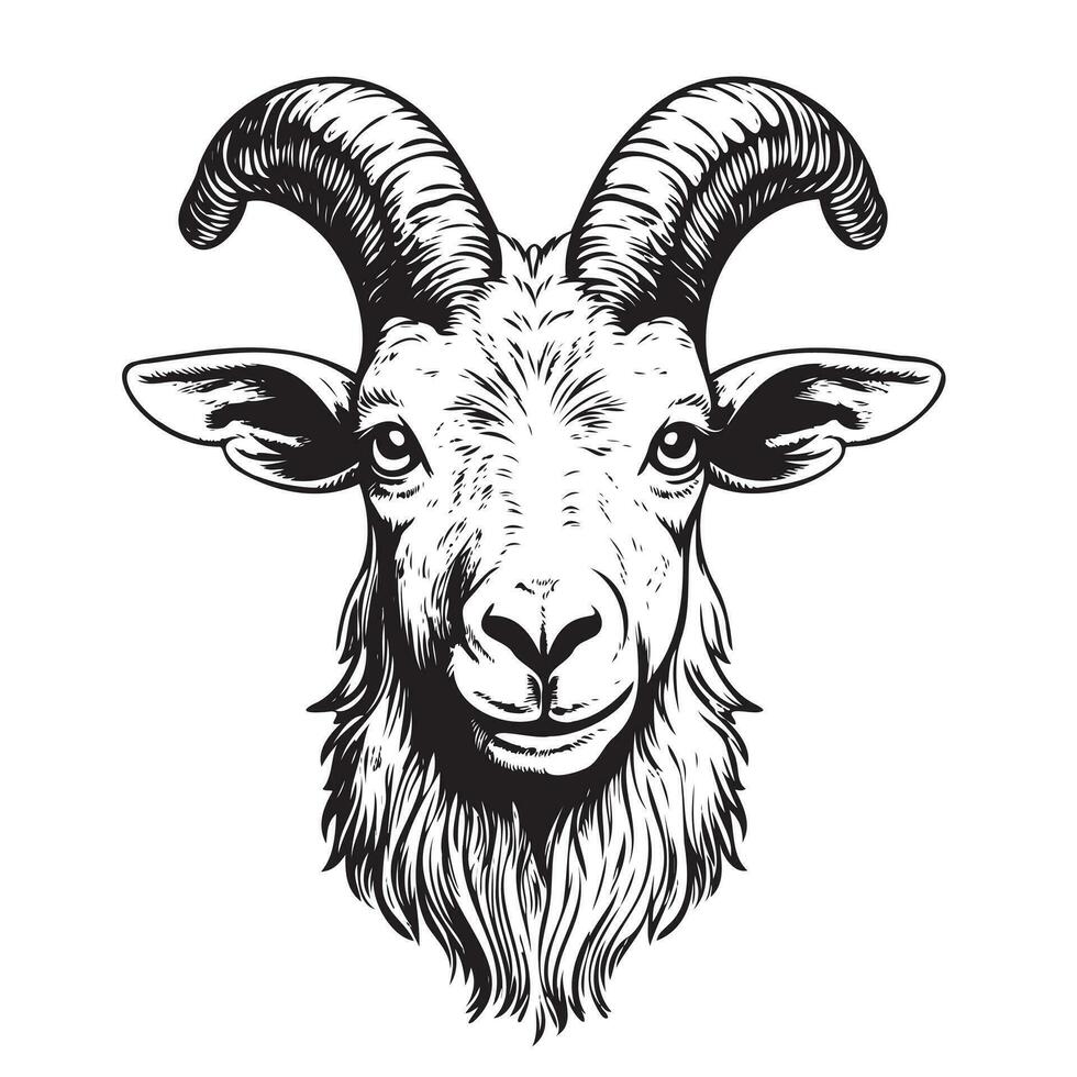 Goat head animal sketch hand drawn Vector illustration