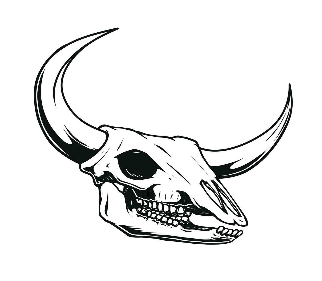 bull skull vector drawing design