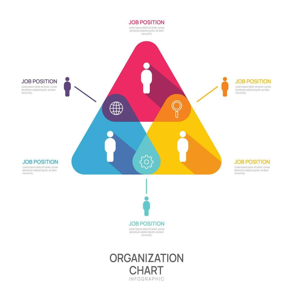 Infographic template for organization chart with business avatar icons. vector infographic for business.