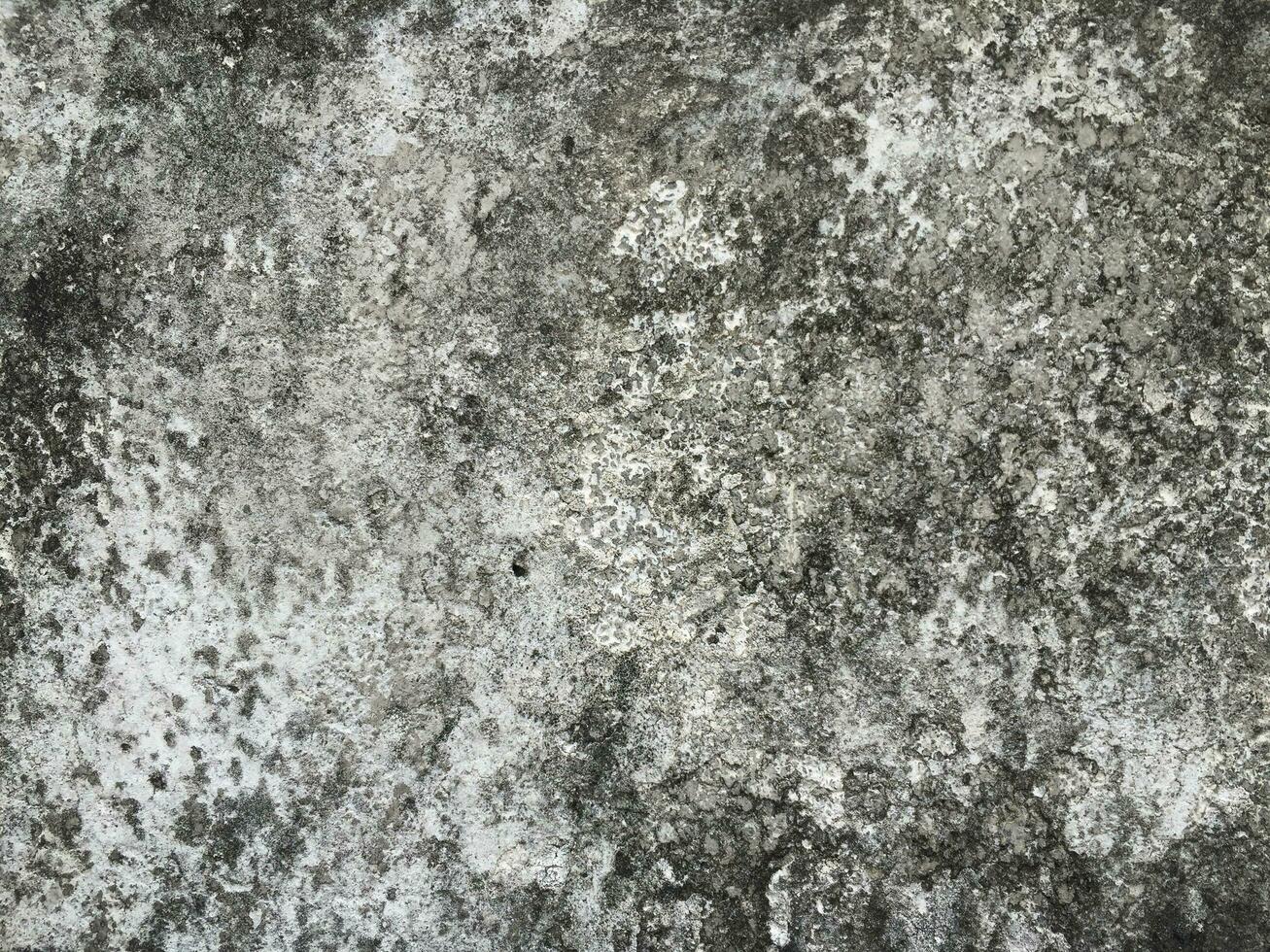 Abstract Cement wall texture background photo