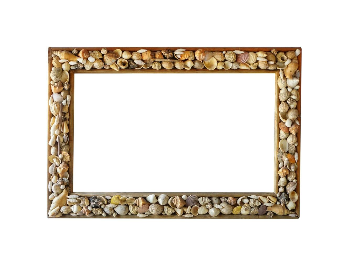 photo frame made from different shells