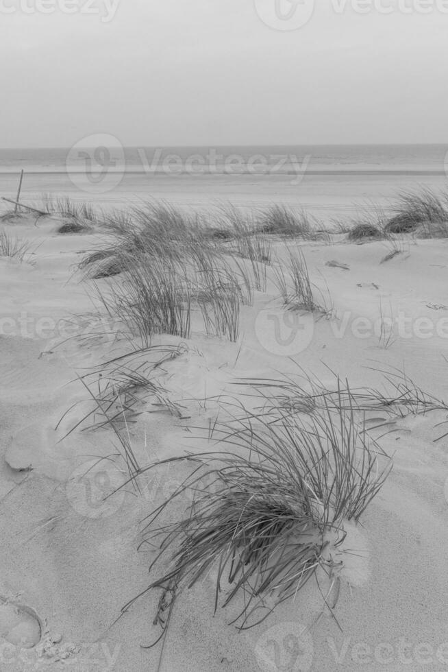 wangerooge island in germany photo