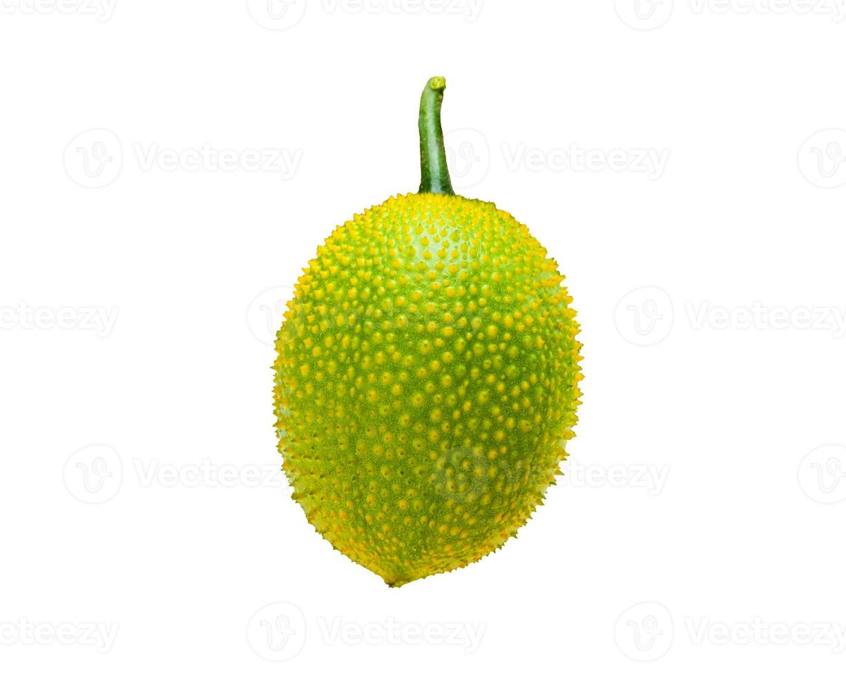 Baby Jackfruit Spiny Bitter Gourd, Sweet Gourd, Cochinchin Gourd, Gac fruit on white background photo