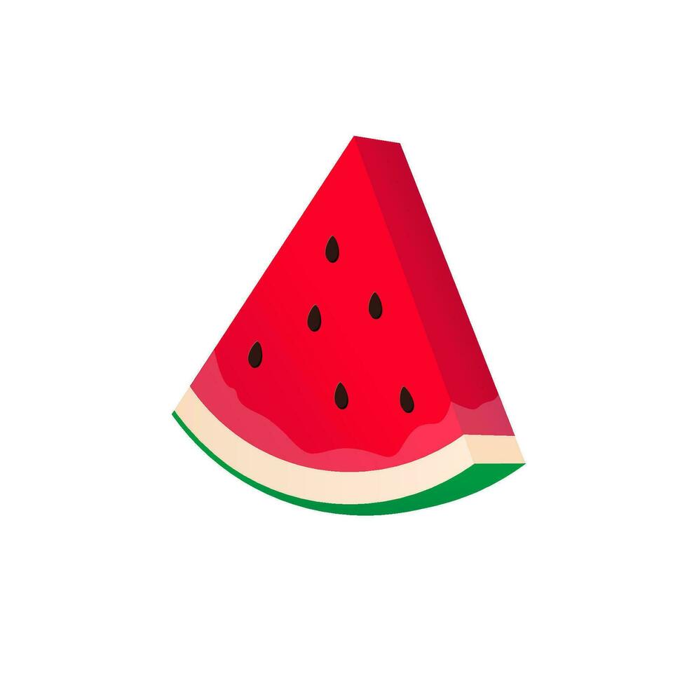 Watermelon graphic illustration vector