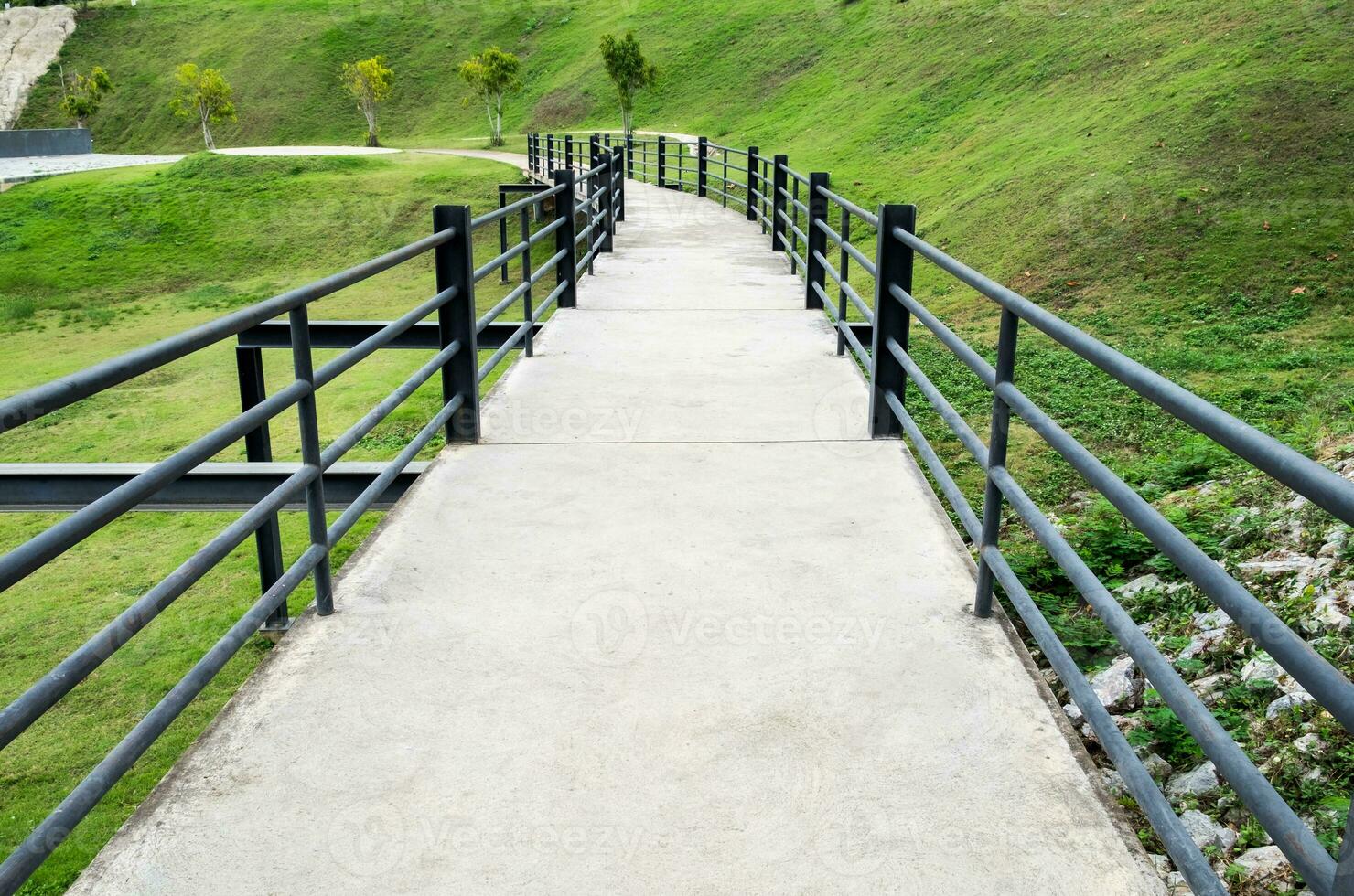 Bridge walkway black bar steel in garden photo