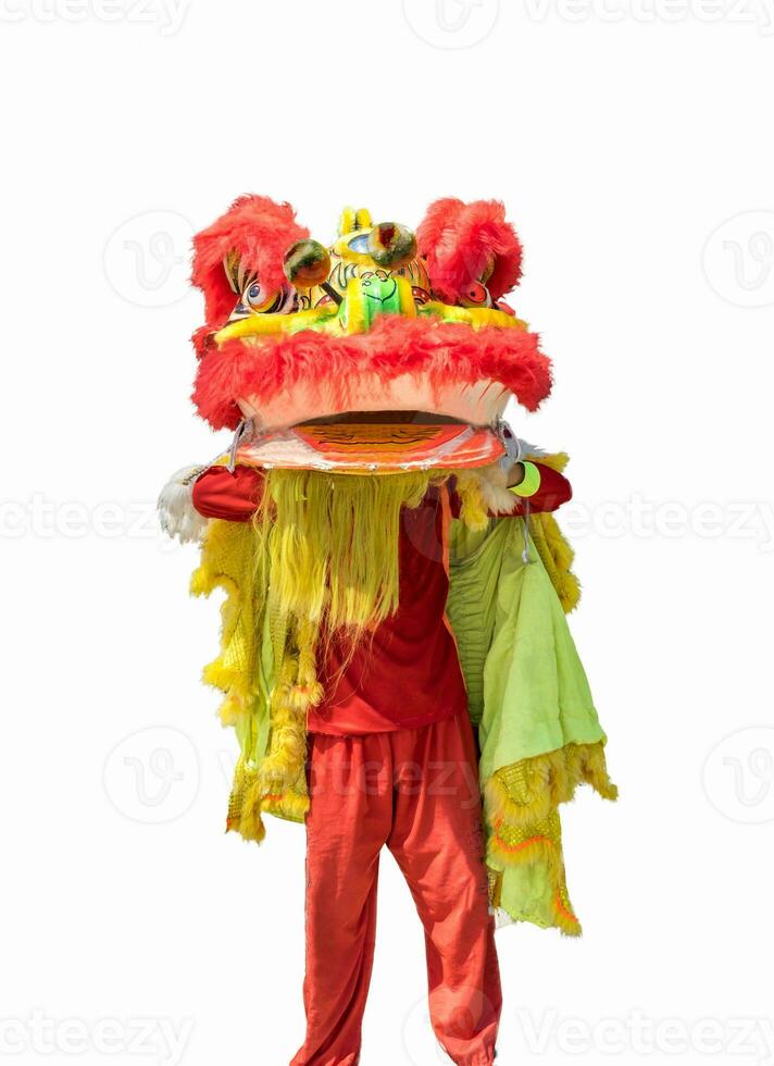 Chinese red lion dance standing on lunar festival photo