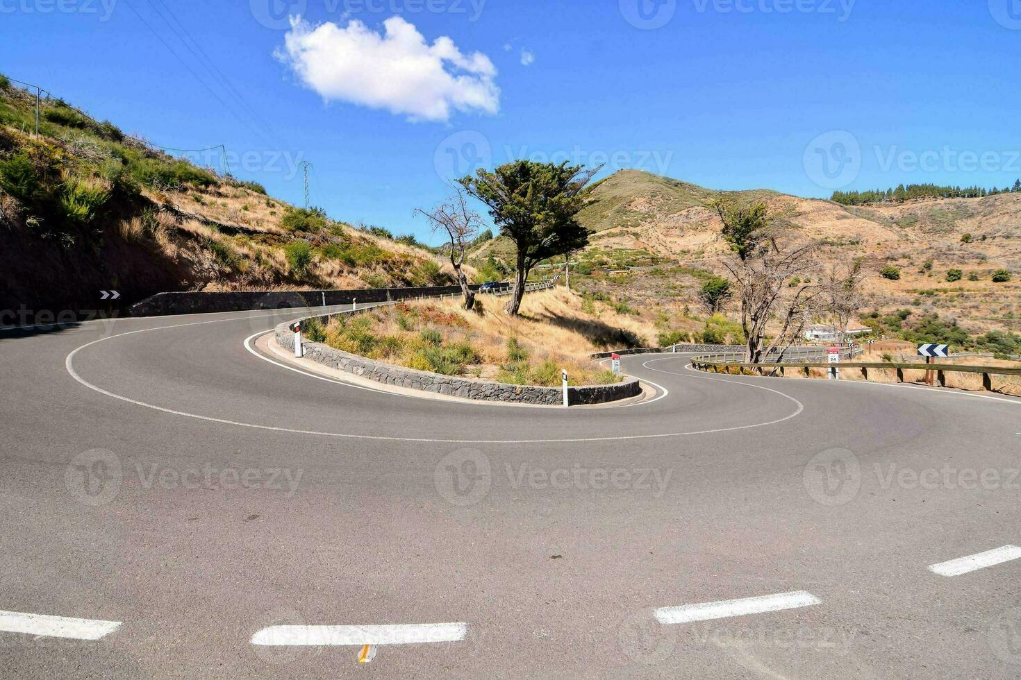 a curved road with a tree in the middle photo