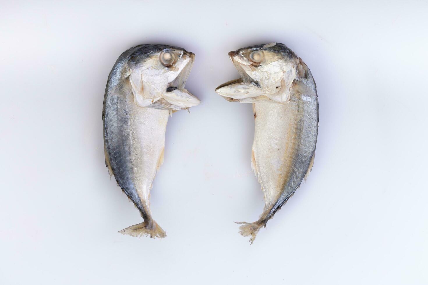Boiled Short mackerel, popularly used as a ingredient in Thai cooking Call the Thai name Platoo. Bring fresh fish to boil in brine and then put in the small basket for sale. photo
