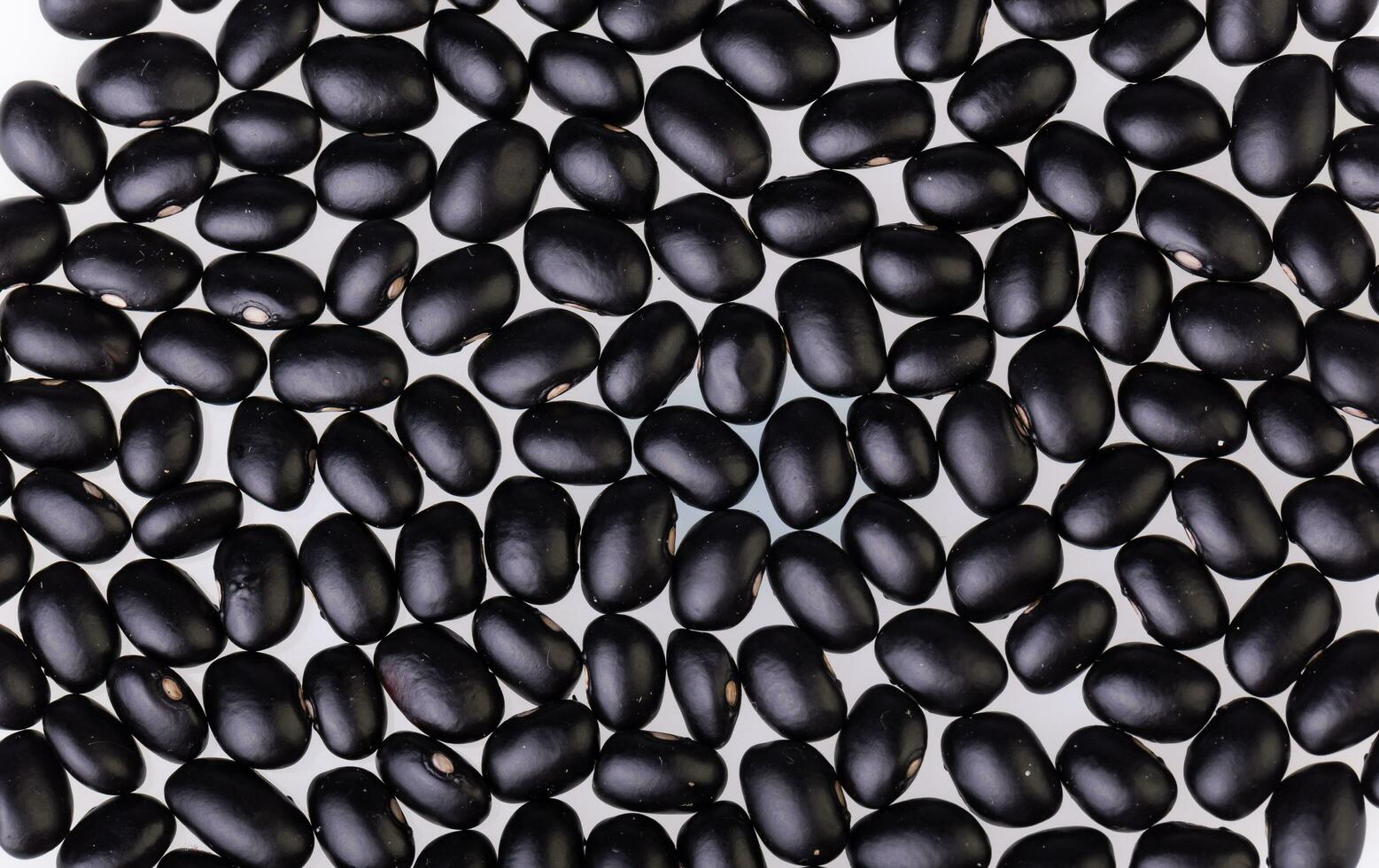 Close-up of black bean for background. photo