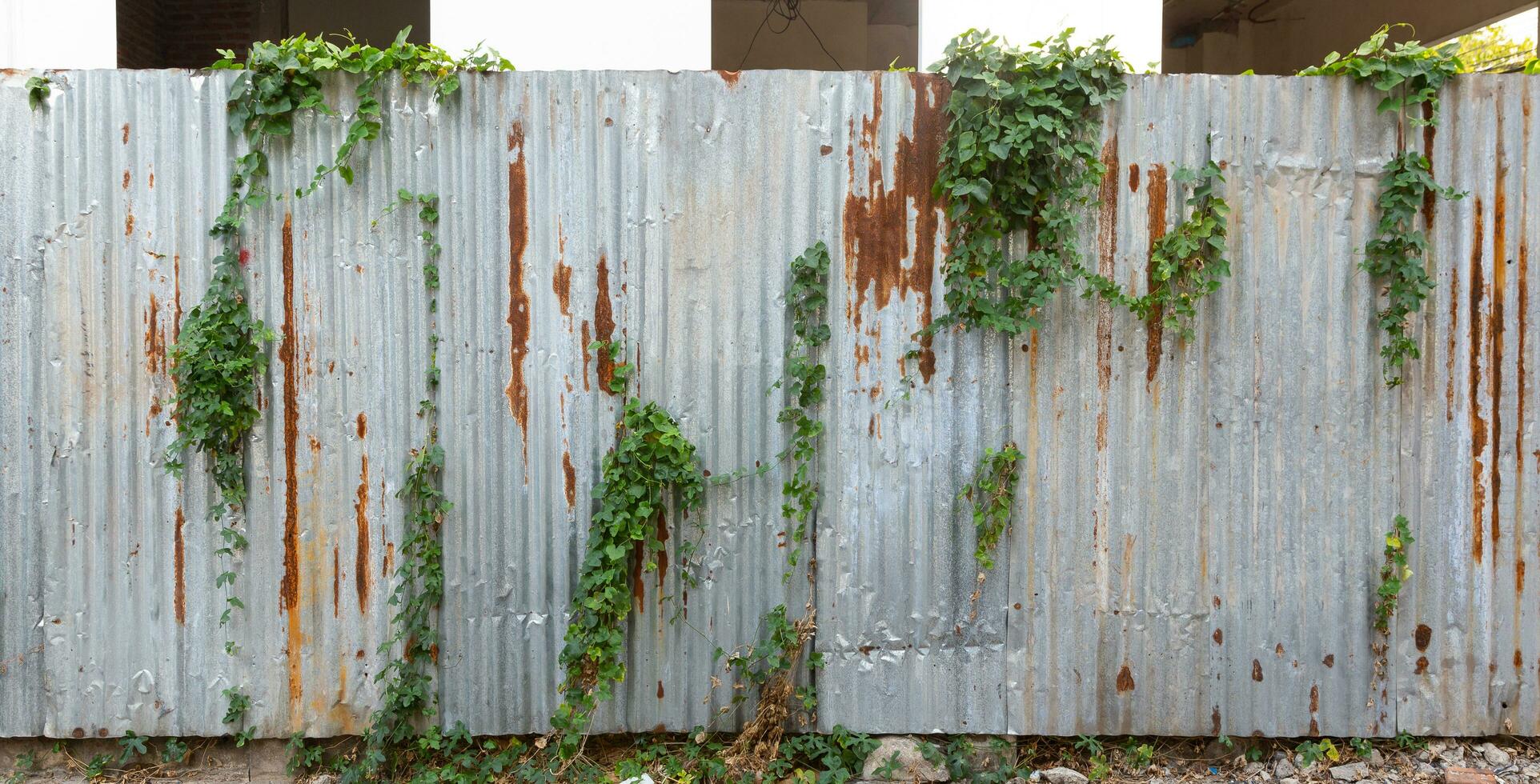 Rusted galvanized iron plate. Old rusty zinc sheet wall with Gourd. photo