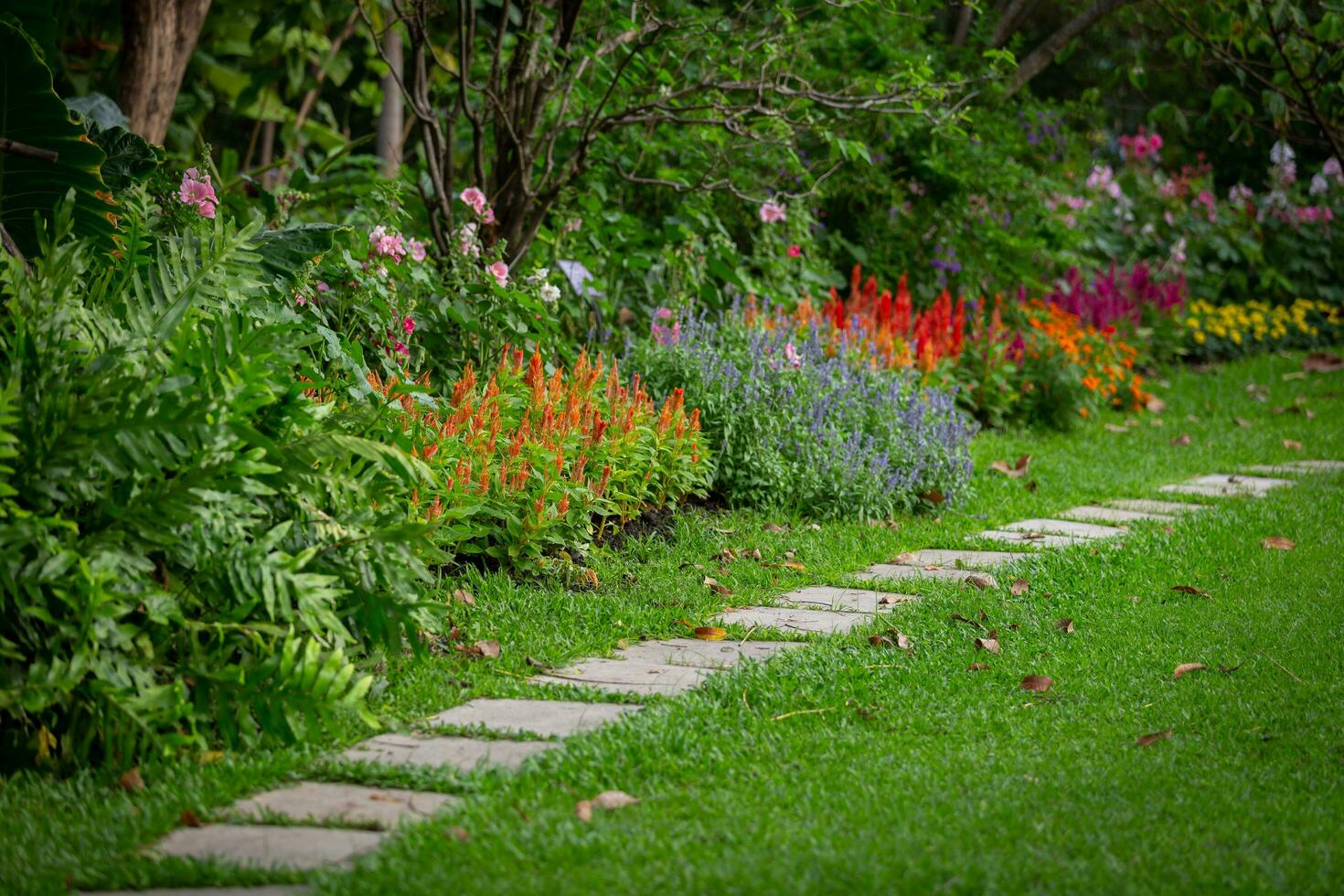 Background image of a garden path with colorful flowers planted beside it. photo