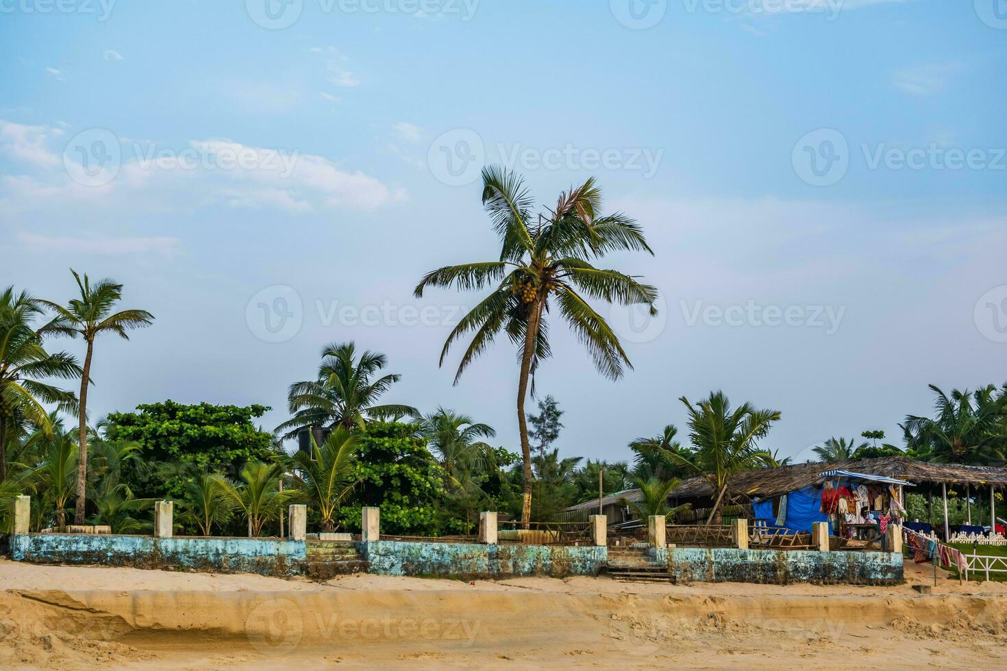 coconut trees on ocean coast near tropical shack or open cafe on beach with sunbeds photo