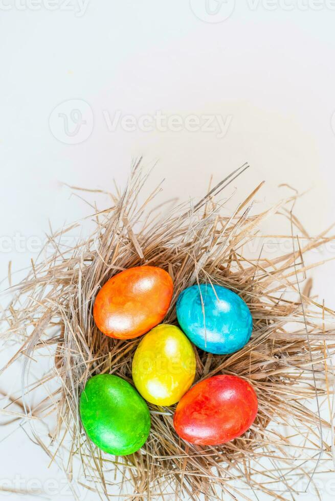 Multi-colored Easter eggs lie in a straw, as in a nest. photo