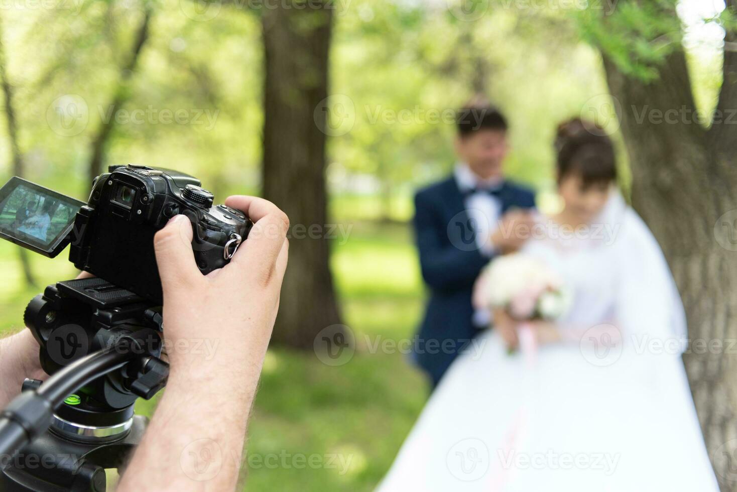 The videographer shootes the marrieds in the garden in the summer. photo