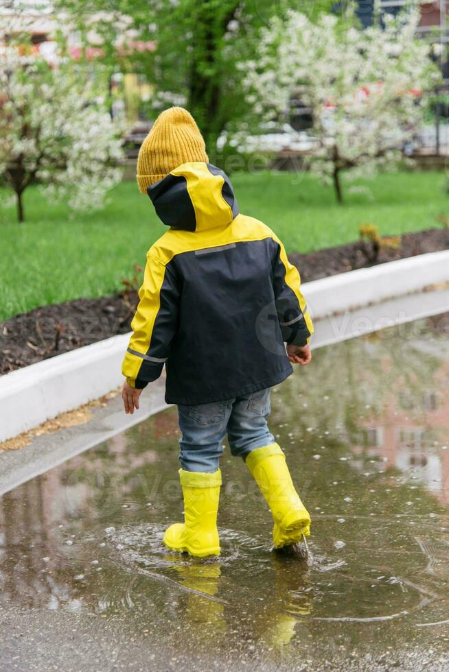 little boy walks through the puddles in the spring after the rain photo