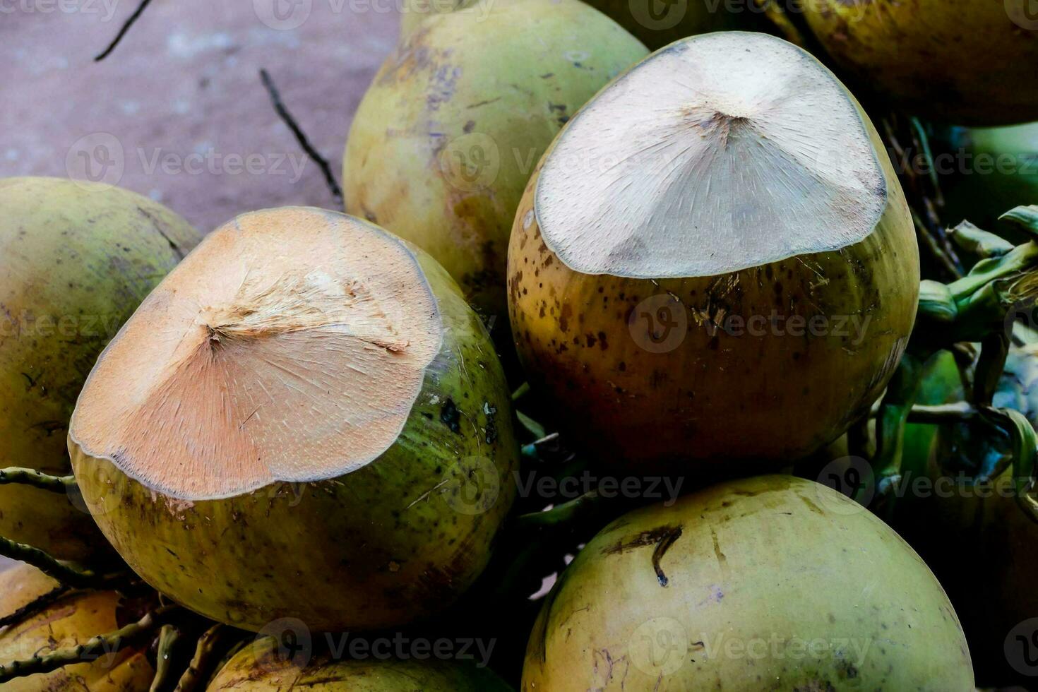 a pile of coconuts photo