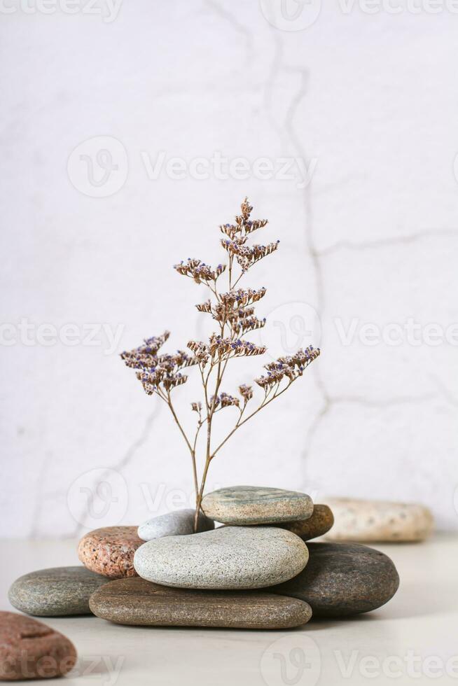 un rama de seco flor soportes en un apilar de suave mar piedras en el mesa vertical ver foto