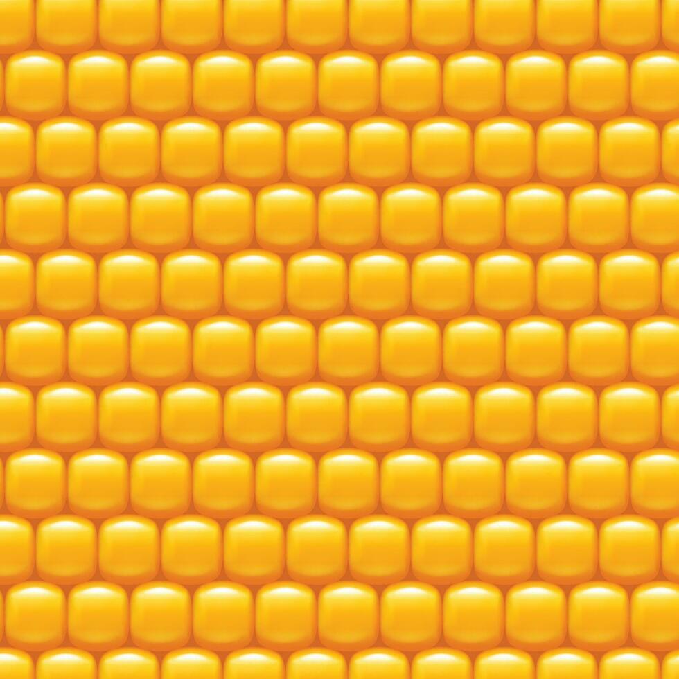 corn background 01 try vector