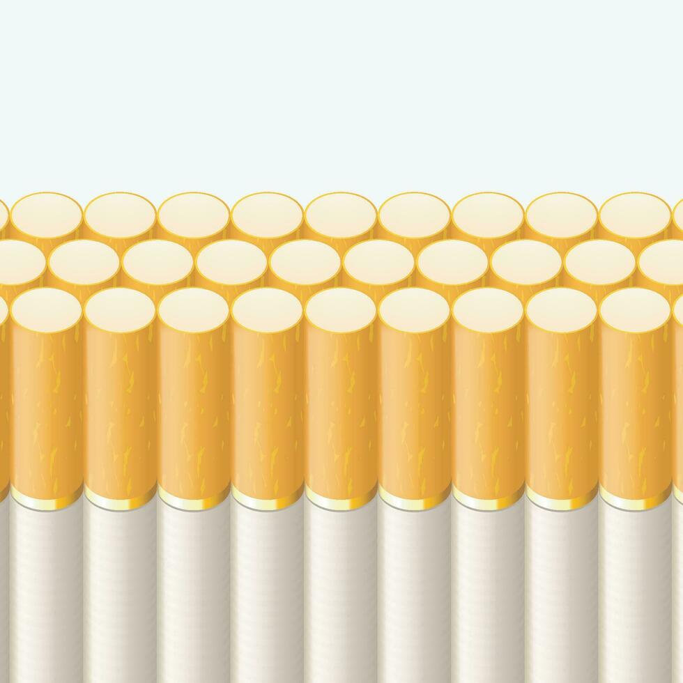smoking line of cigarettes vector