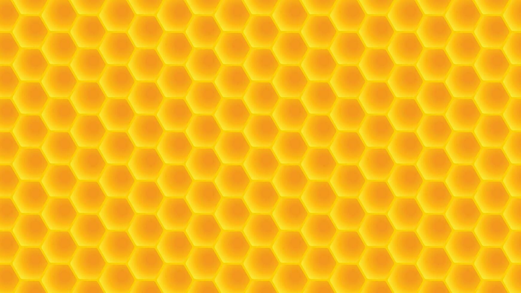 honeycomb wide back vector