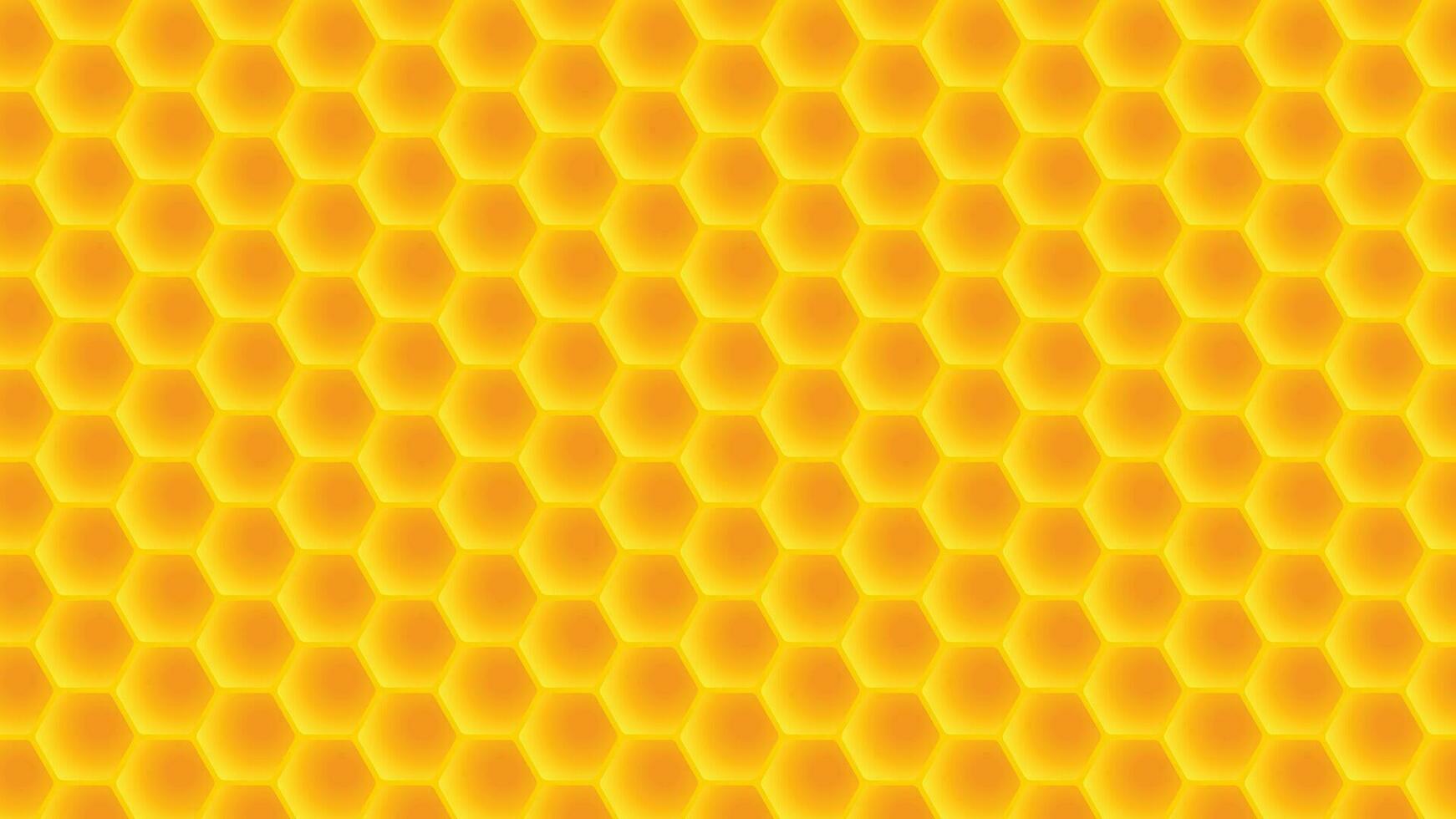 honeycomb wide back vector