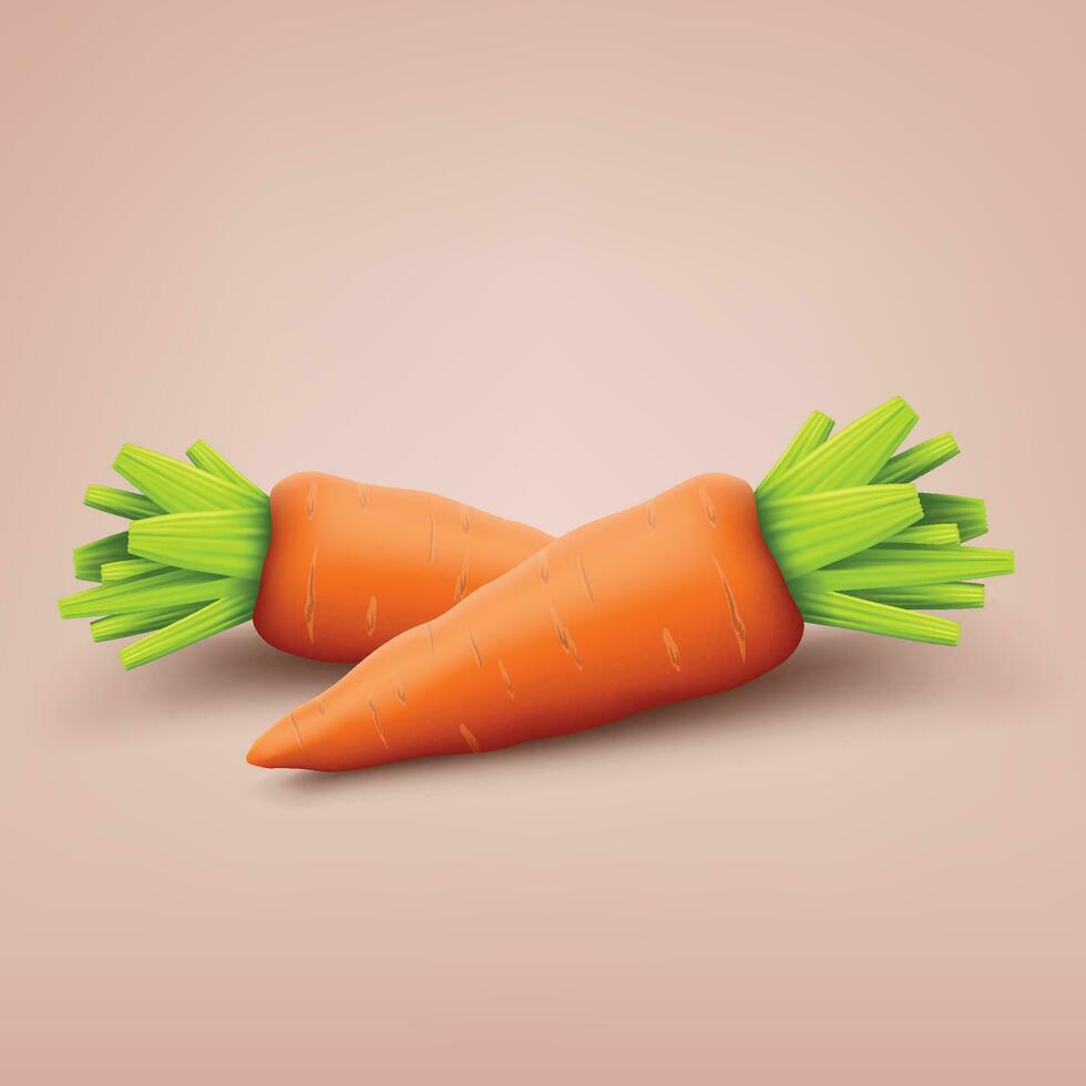 two carrots on red vector