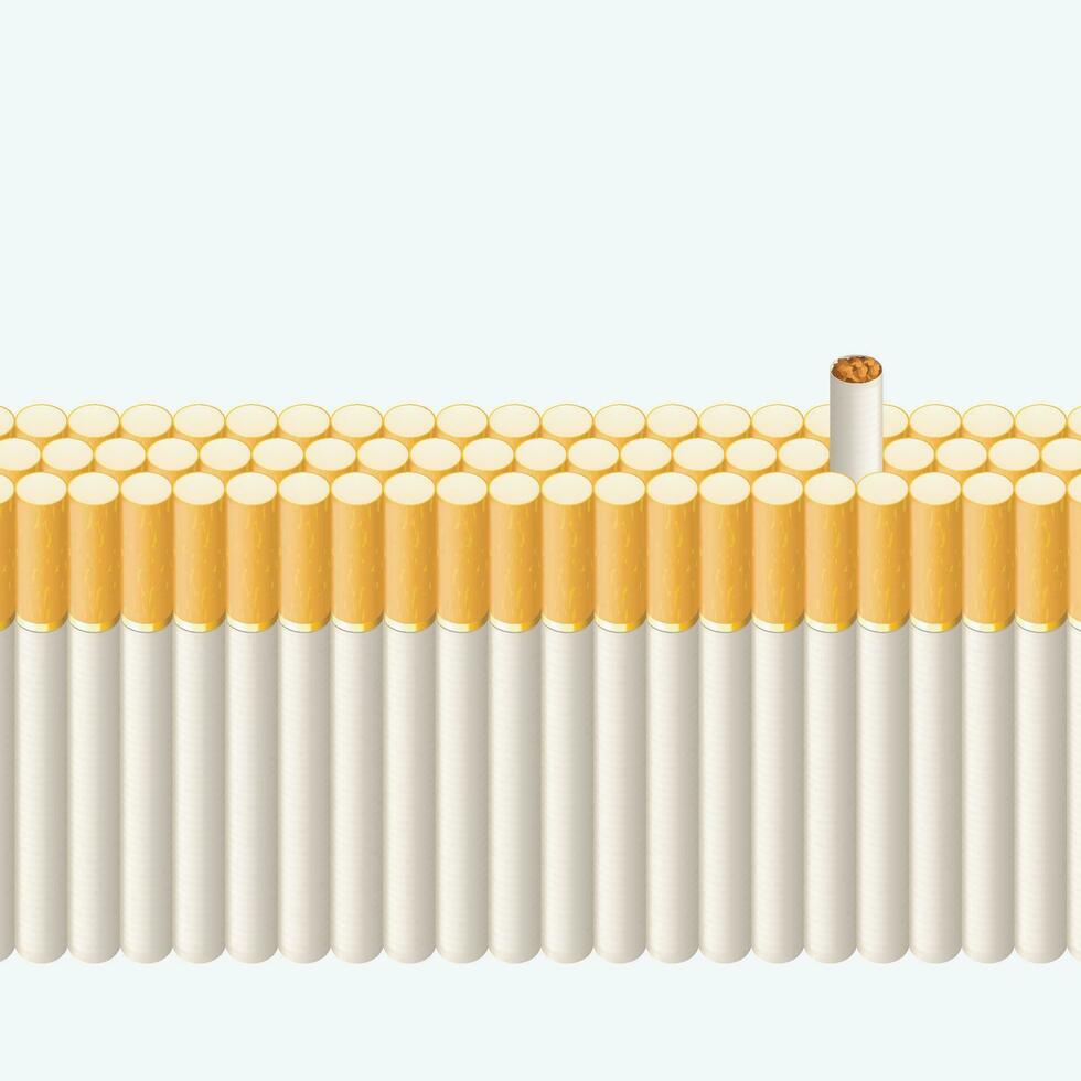 smoking line of cigarettes2 vector