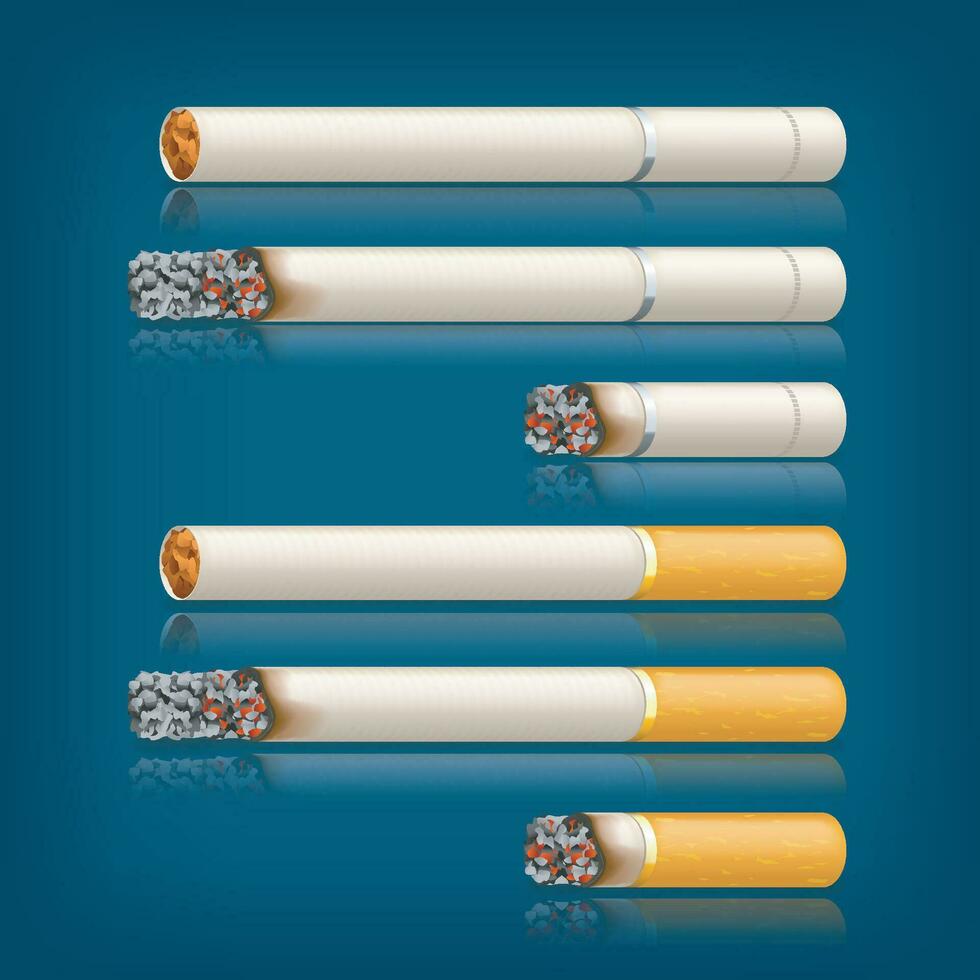 smoking cigarettes set vector