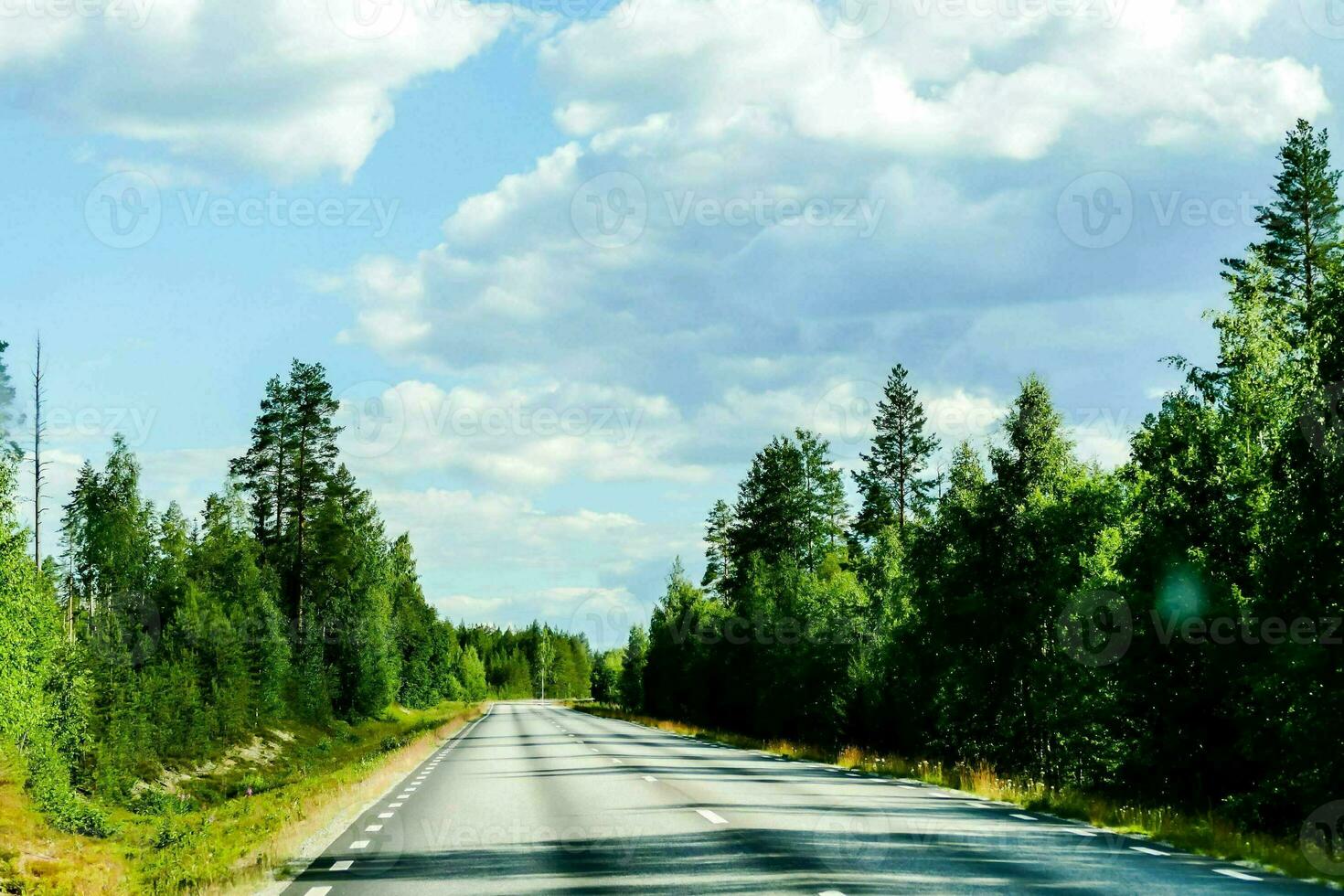 a long empty road surrounded by trees and clouds photo