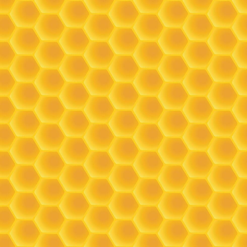 honeycomb pattern back vector
