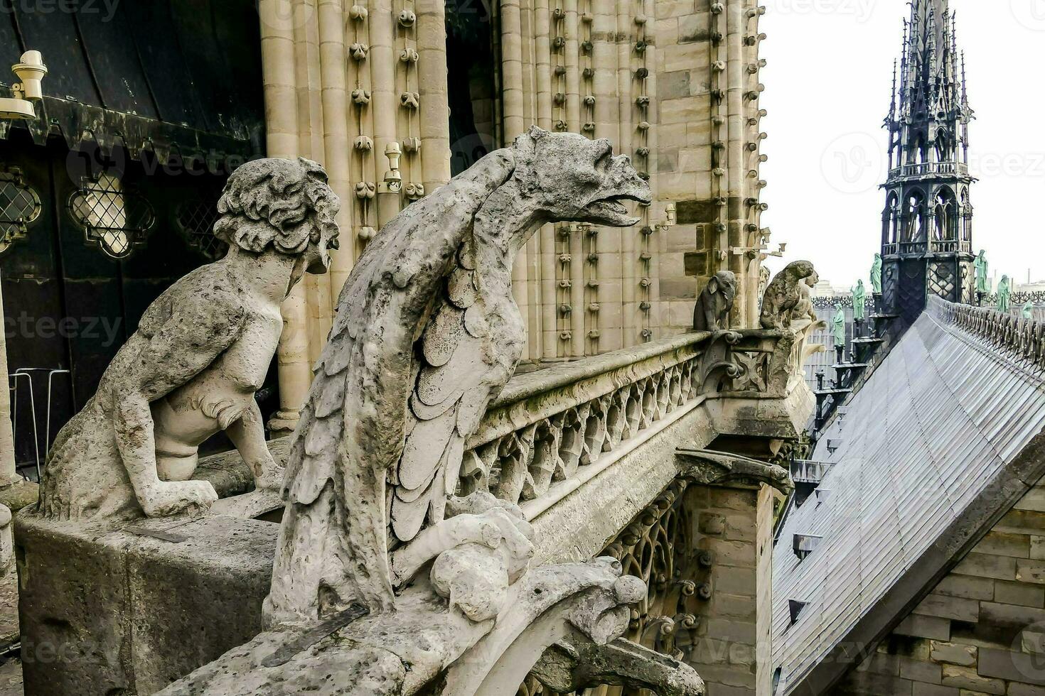 gárgolas en el techo de un catedral foto