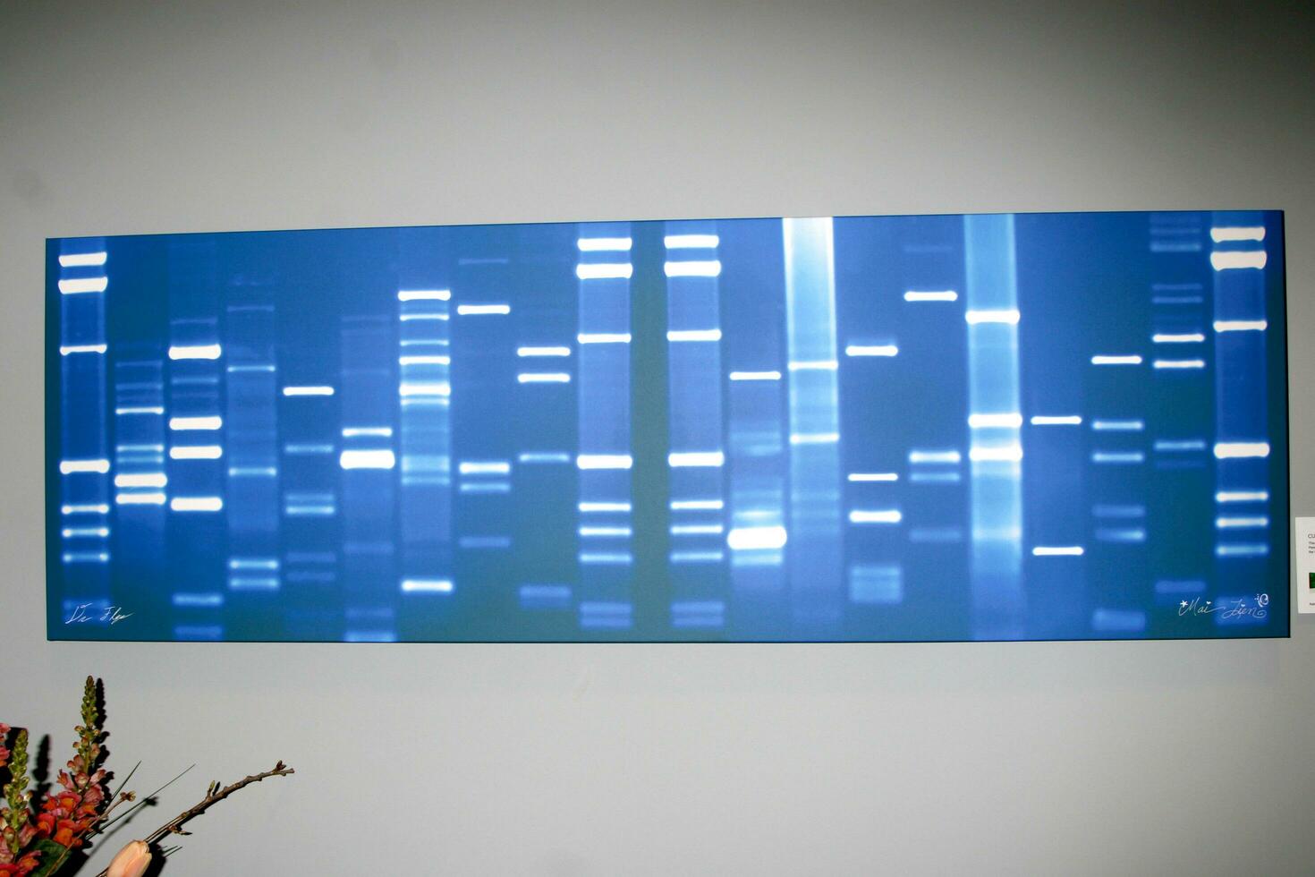 DNA Art  Made from DNA samples of couple then made into art Platinum Collections Grand Opening Platinum Collections 345 6th Ave San Diego Ca 92101 March 22 2008 photo