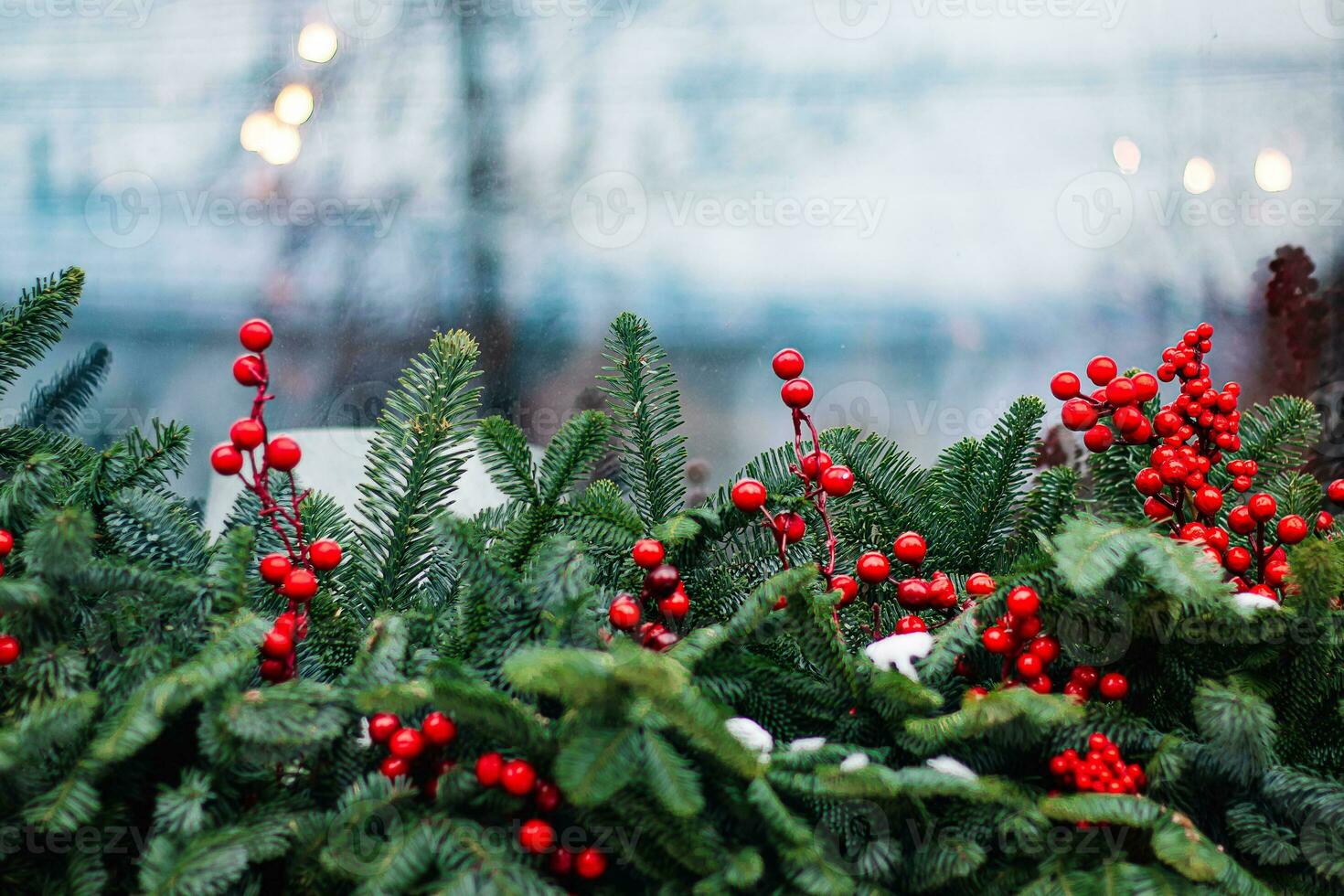 Christmas decorations on window. Fir branches with red berries. photo