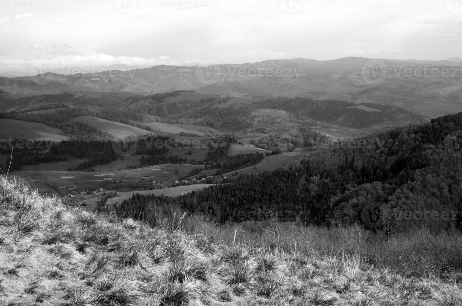 Mountains and forests photo