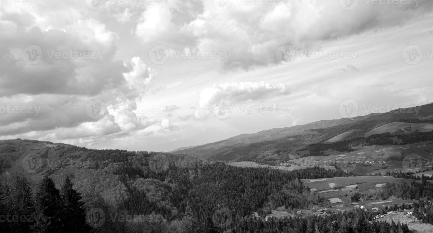 Mountains and forests, aerial view black and white background photo