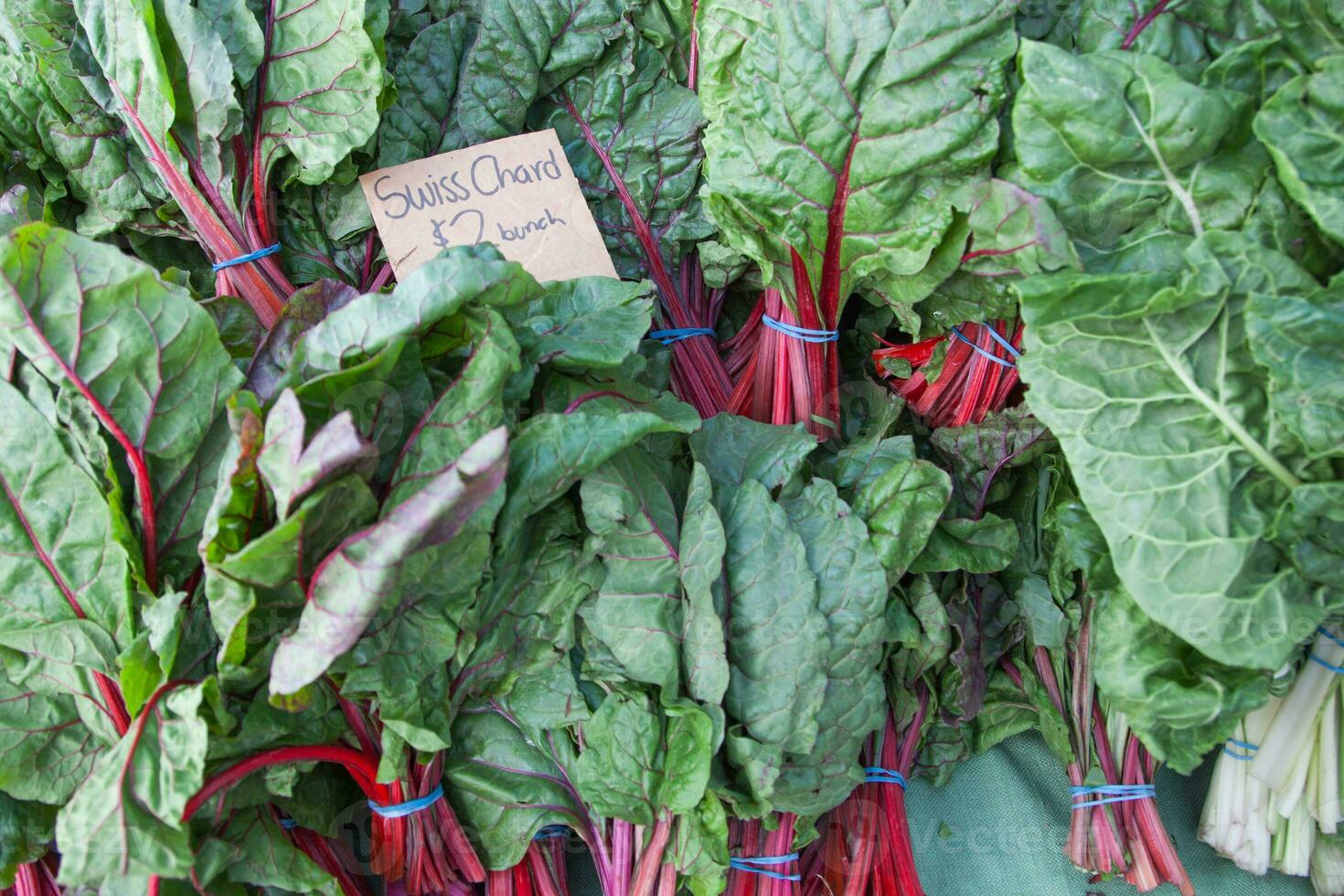 Freshly Picked Organic Swiss Chard on Display at the Farmers Market. photo