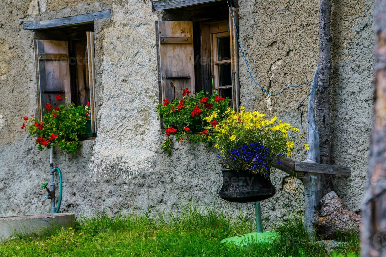 Bretaye, en Vaud, Suiza foto