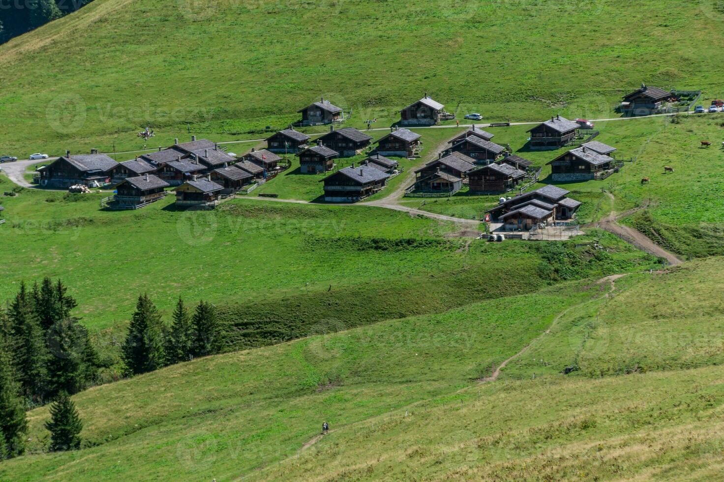 taveyanna in vaud in swiss photo