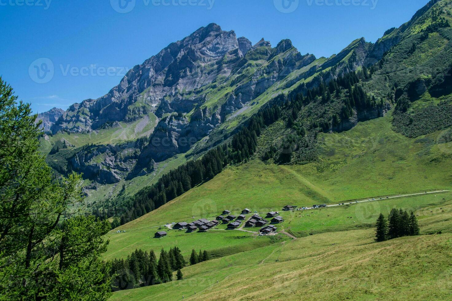 taveyanna in vaud in swiss photo