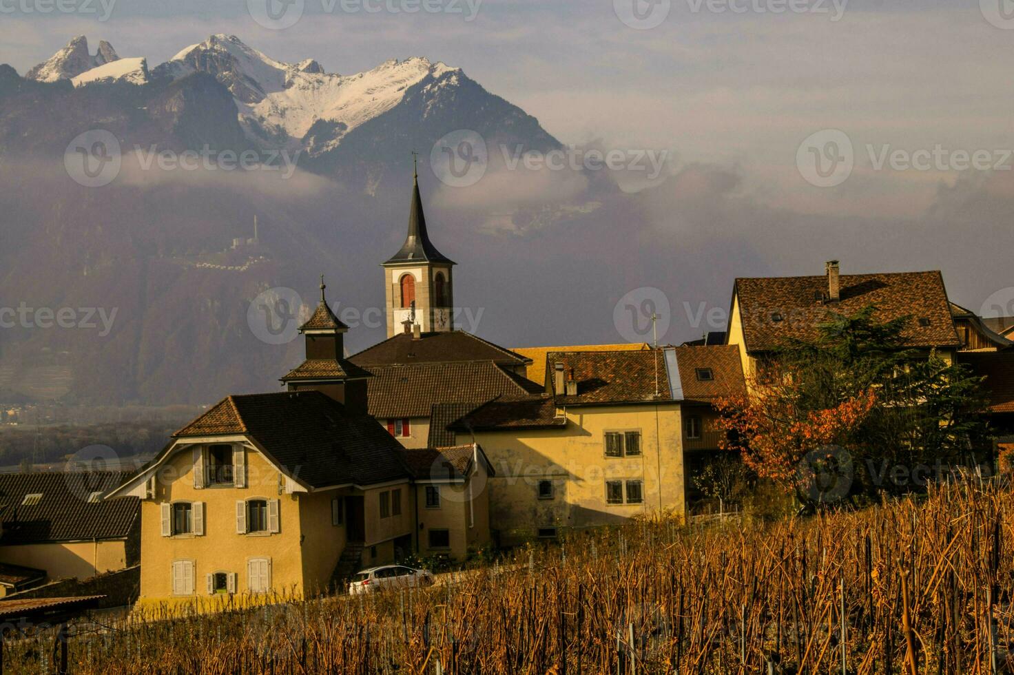 yvorne, in vaud,swiss photo