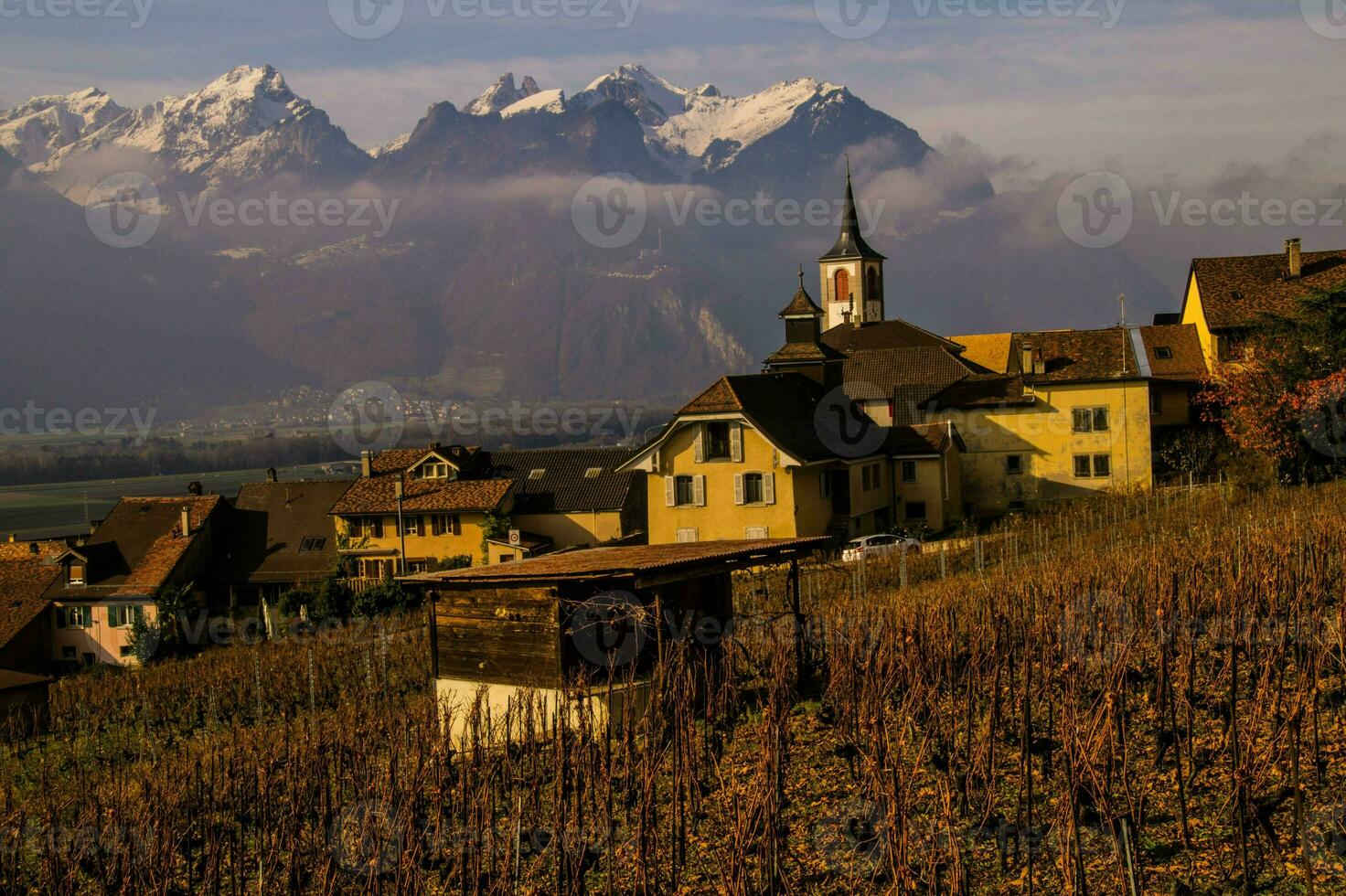 yvorne, in vaud,swiss photo