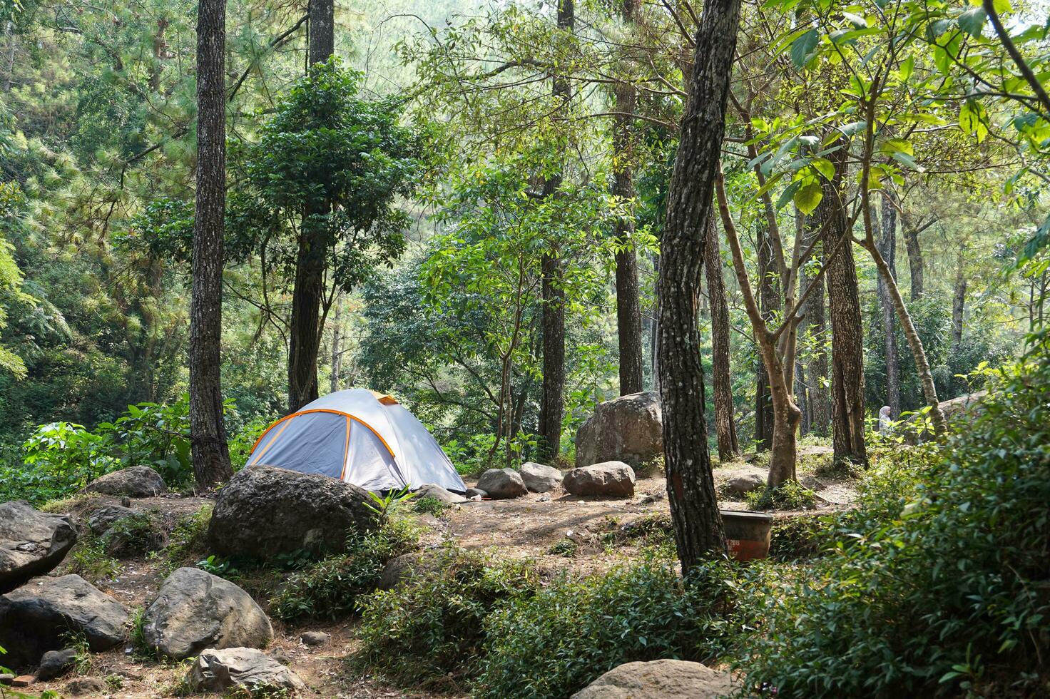 Camp site in the forest, campground at Bedengan, East Java, Indonesia photo