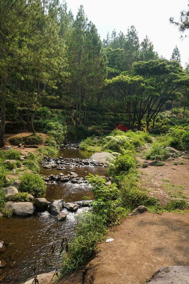 río corriente cascada en bosque paisaje a bedengan cámping suelo malang, Indonesia foto