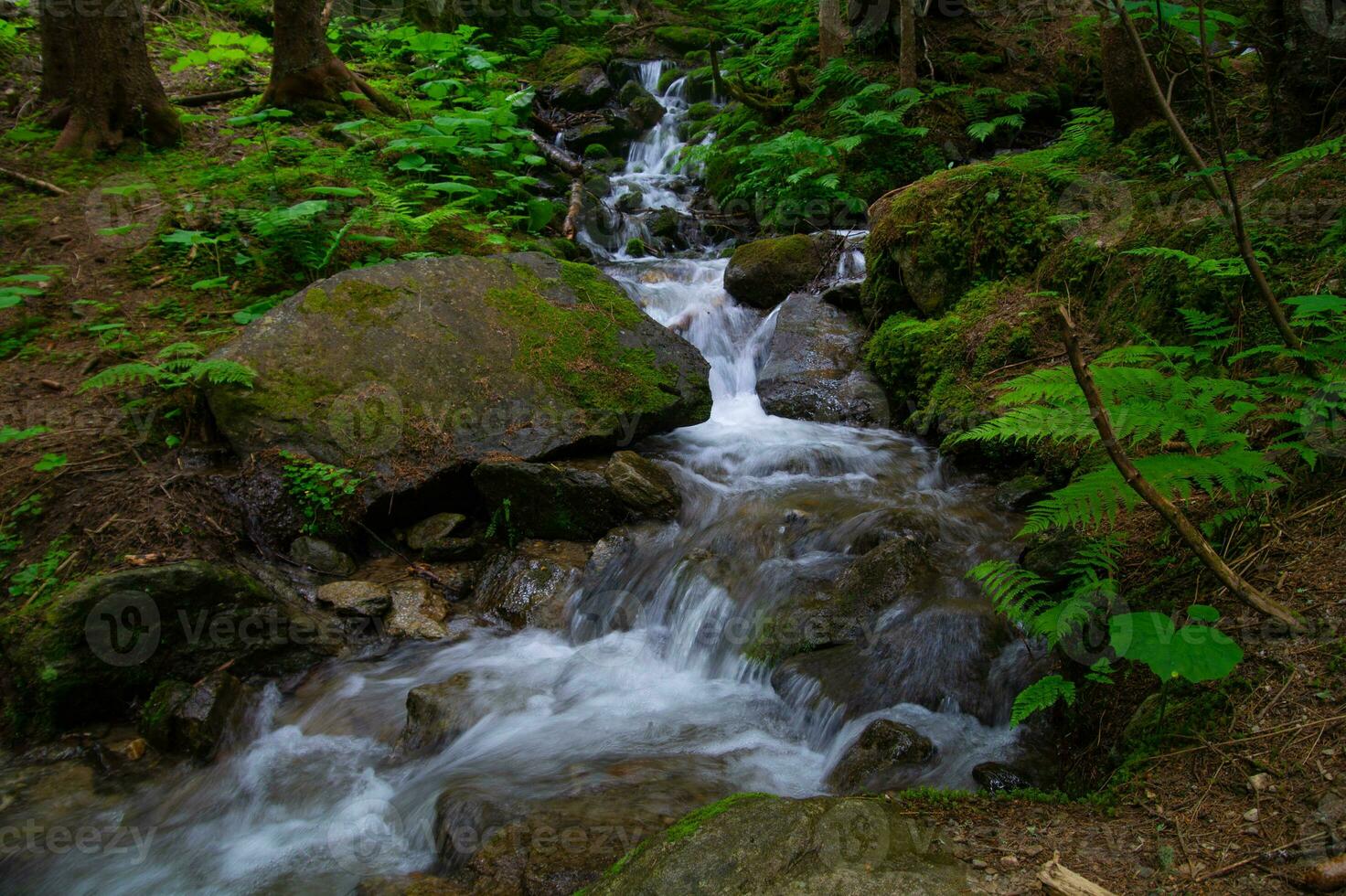 combe armancelle in comtamines montjoie,haute savoie,france photo