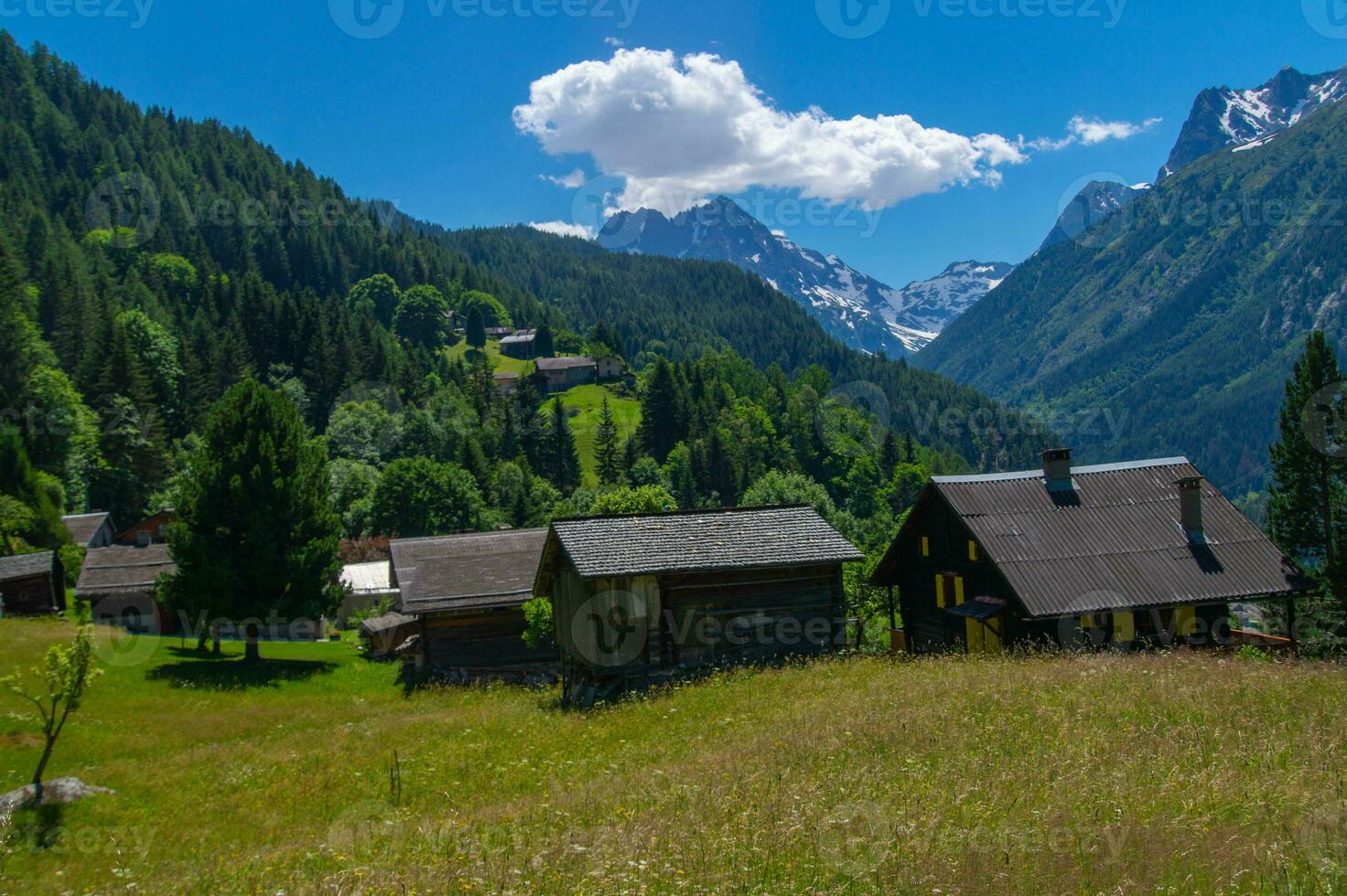 jeures, in valais,swiss photo
