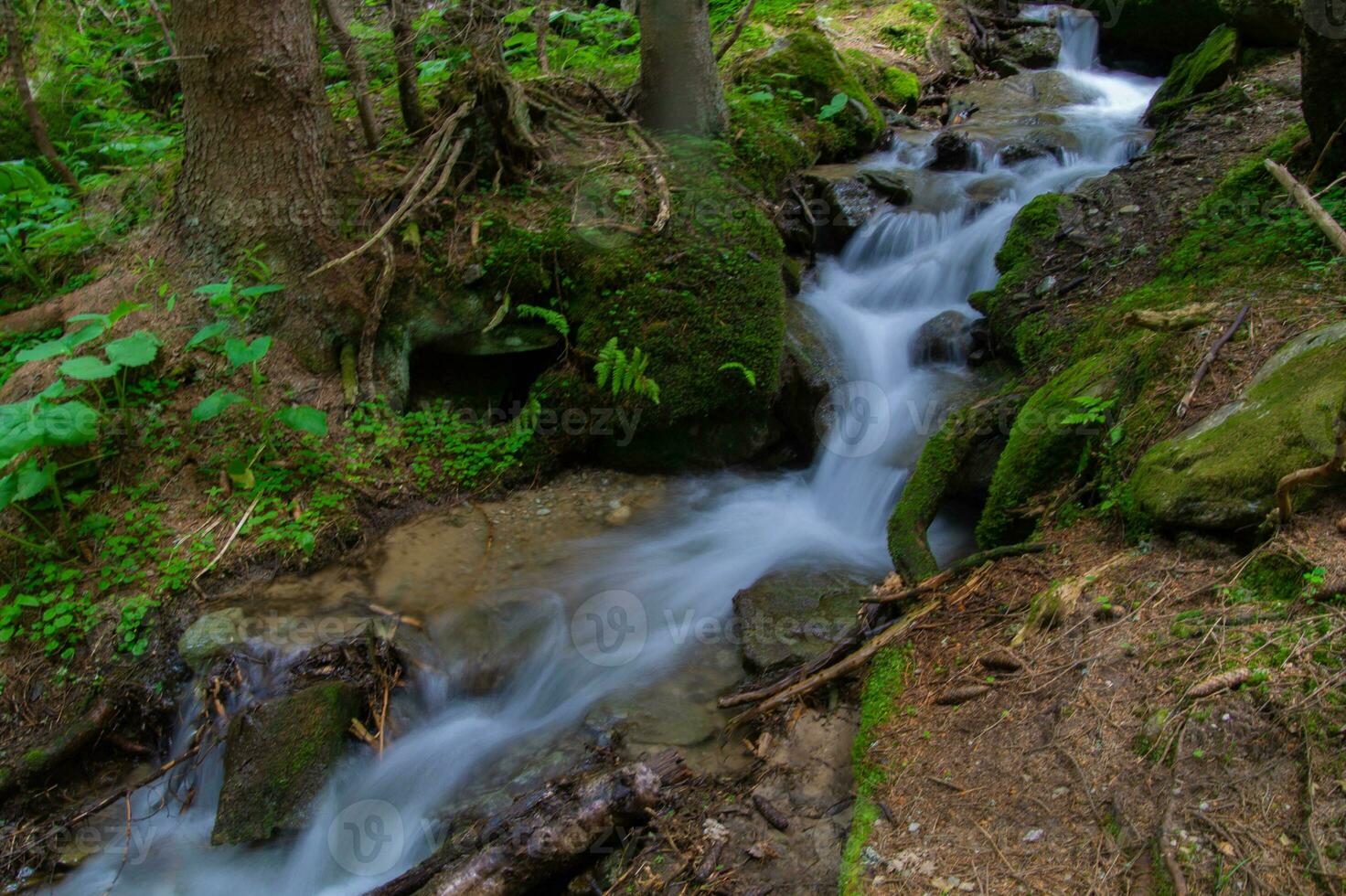 combe armancelle in comtamines montjoie,haute savoie,france photo