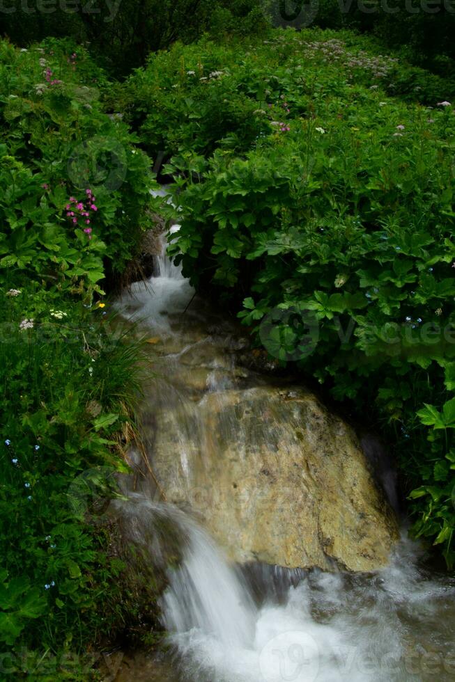 peine armancela en Comtamina montjoie,alta Saboya, Francia foto