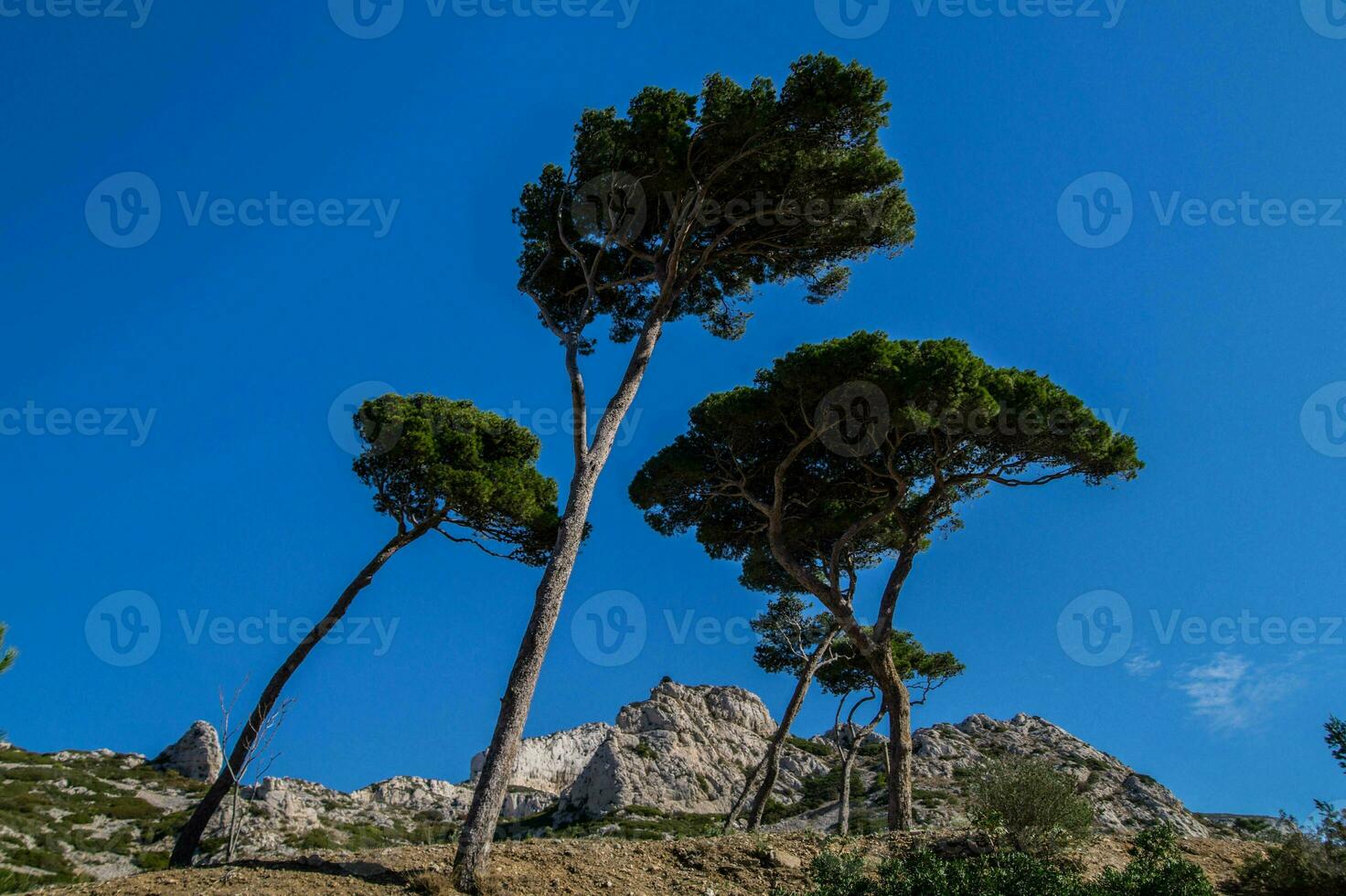 national park calanques marseille in bouche du rhone photo